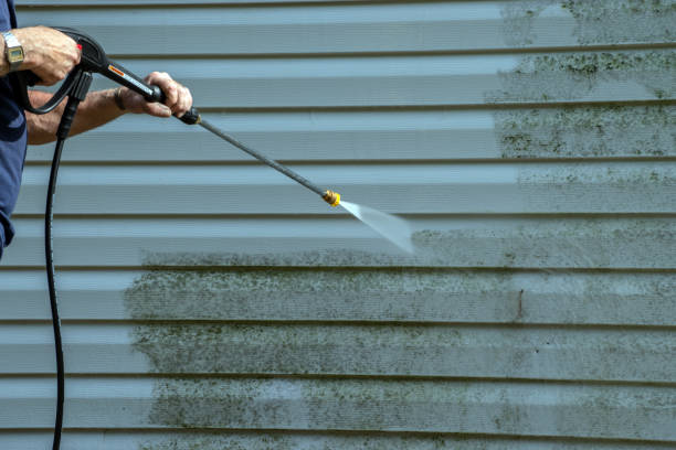 Best Deck Cleaning Services  in St Georges, DE